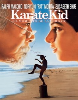 Karate Kid, el momento de la verdad