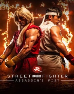 Street Fighter: Assassin's Fist